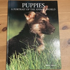 Puppies Marcus H. Schneck 1998 Newline HC Illus A Portrait Animal World Ser