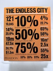 Endless City Urban Age Project Phaidon LSE 2007 Hardcover DJ Cities