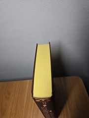 This Vicious Grace by Emily Thiede Fairyloot Exclusive Edition