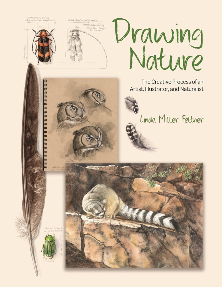 Drawing Nature: The Creative Process of an Artist, Illustrator, and Naturali…