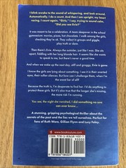 Did You See Evie? Paperback Book by Miranda Smith