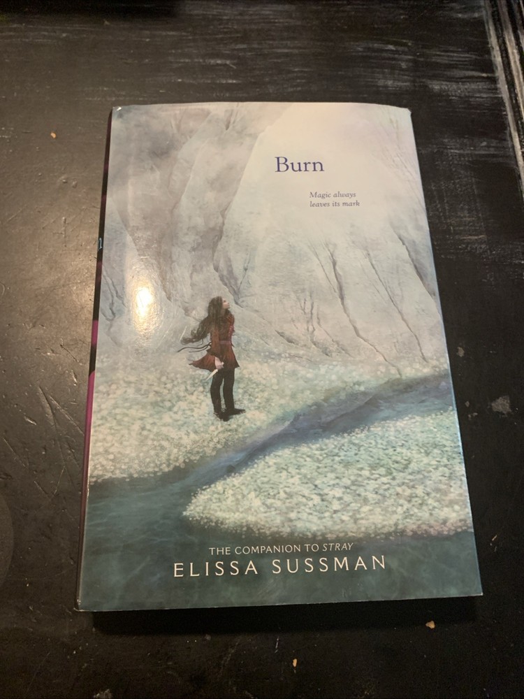 Burn by Elissa Sussman (2016, Hardcover) Hand Signed 1st Edition 1st Printing