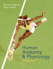 Human Anatomy And Physiology – Hardcover By Marieb, Elaine Nicpon – GOOD