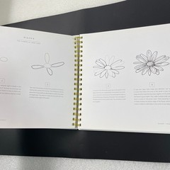 How to Draw Modern Florals by Alli Koch – Blue Star Press 2017 – HC Spiral Bound