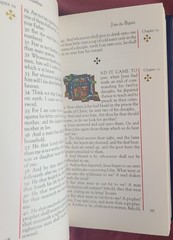 The Illustrated Gospels King James Version KJV Book 1993 Ebury Press Random Hous