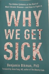 Why We Get Sick Benjamin Bikman PhD Paperback BenBella Books Chronic Disease