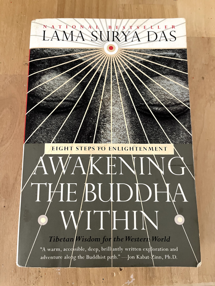 Awakening the Buddha Within by Lama Surya Das – Broadway Books PB 1st 1998 GOOD