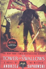 The Tower of Swallows (The Witcher, 6)