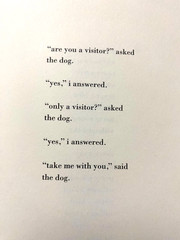 robert lax – poems (1962-1997) – wave books 2013 – Hardcover, First Edition