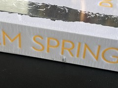 Inside Palm Springs by Don Flood 2025 Hardcover Photography Book Vendome Press