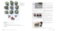 Succulents Simplified: Growing, Designing, and Crafting with 100 Easy-Care V…