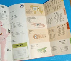 Kids Learning Bushel & Peck Foldout Anatomy – Inner Workings – Sleep Lot 3 Books