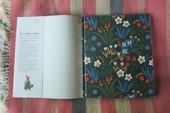 Little Witch Hazel: A Year in the Forest by Phoebe Wahl Hardcover Tundra