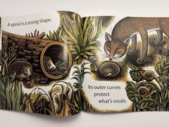 Swirl by Swirl: Spirals in Nature by Joyce Sidman Illustrated By Beth Krommes