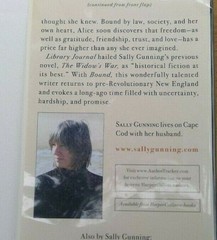 Bound by Sally Gunning (2008, Hardcover) ex-library dust jacket
