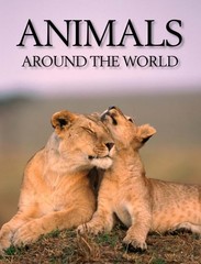 Animals Around the World by Gray, Samantha, Good Book