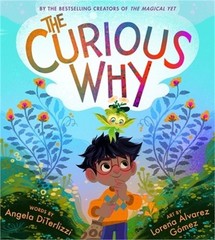 The Curious Why (Hardback or Cased Book)