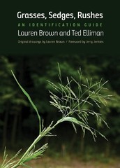 Lauren Brown Ted Elliman Grasses, Sedges, Rushes (Paperback)