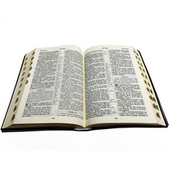 Bible in Russian Библия синодальный перевод 13.5х18.5 см
