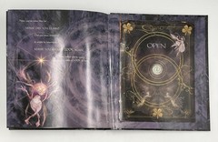 How To See Faeries Brian Froud John Matthews 2011 Abrams Black Illustrated HC