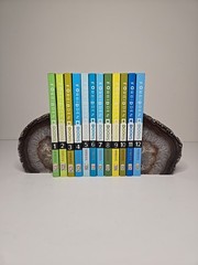 Forbidden Doors, Complete Series by Bill Myers, Paperback, Set Of 12 Books
