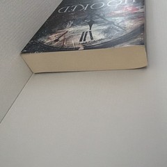 Hooked: A Never after Novel by Emily McIntire (English) Paperback Book