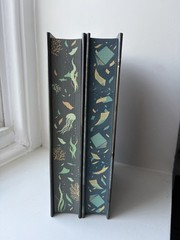 NEW! Illumicrate A Study In Drowning & A Theory of Dreaming by Ava Reid SIGNED