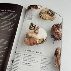 Magnolia Journal Magazine 3 Issues 6, 7, & 9 / Chip & Joanna Gaines