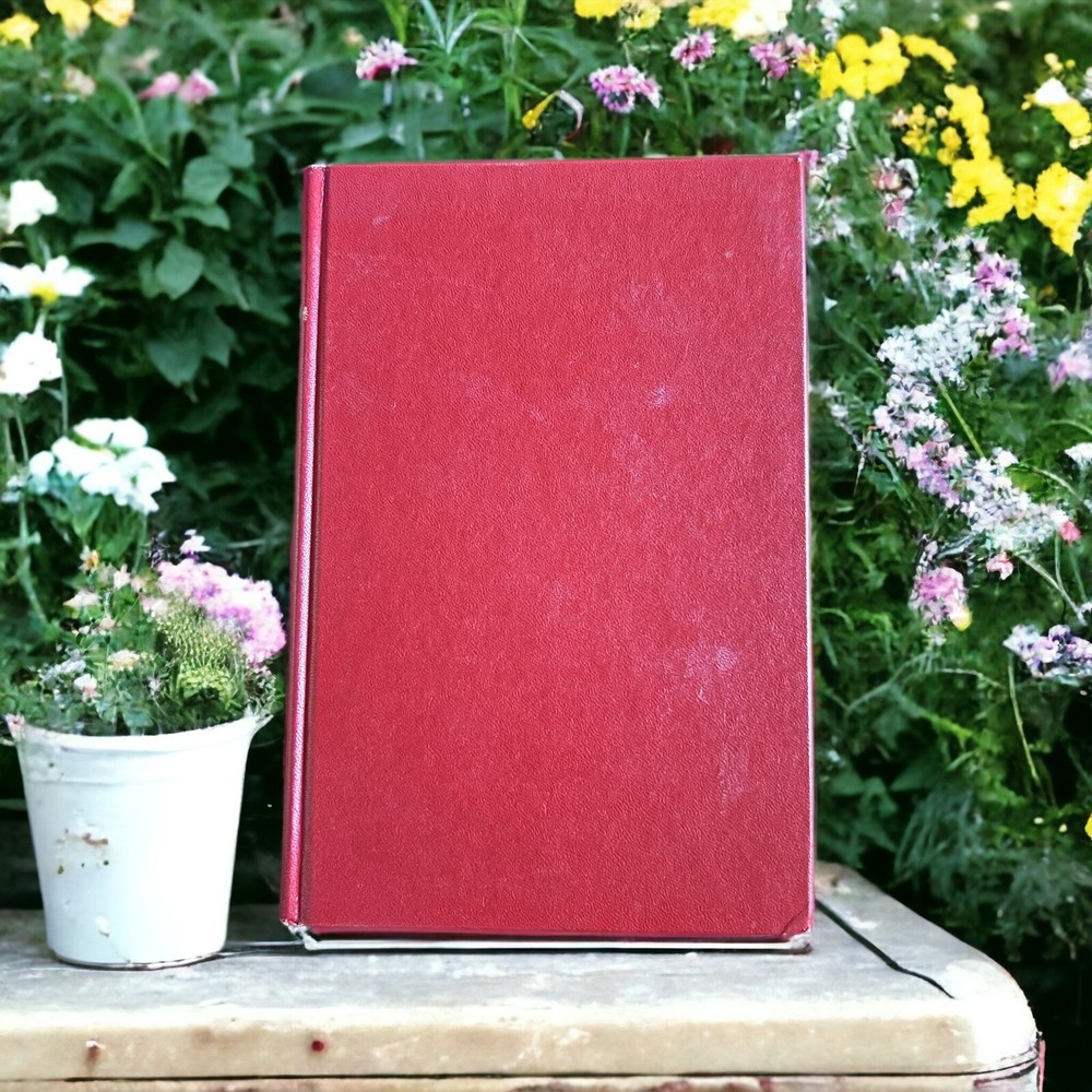 The Stranger Beside Me by Mabel Seeley (Hardcover, Vintage, 1951)