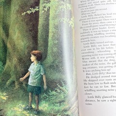 Vintage Children’s First Editions Book Lot