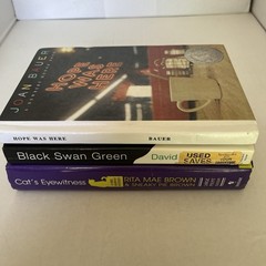 Mixed Genre Fiction Lot BLACK SWAN GREEN – HOPE WAS HERE – CAT’S EYEWITNESS