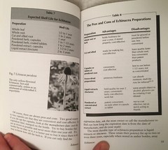 Echinacea: The Immune Herb! (Revised Ed) by Christopher Hobbs, VERY GOOD!