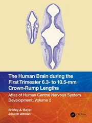 The Human Brain during the First Trimester 6.3- to 10.5-mm Crown-Rump Lengths: A