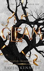 Gleam Paperback Raven Kennedy