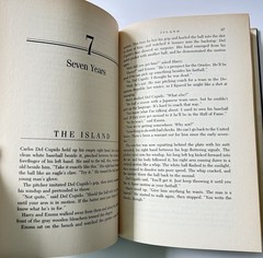 Island by Thomas Perry HC/DJ 1st Edition First Printing Vintage 1987