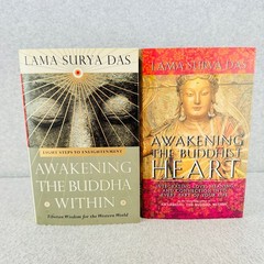 Awakening Buddha Within & Buddhist Heart Lama Surya Das 1997 2000 Hardback