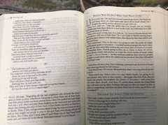 Message Bible-MS-Large Print Numbered: By Eugene H Peterson