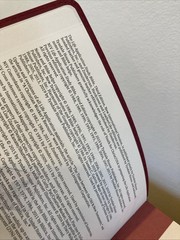 NIV Life Application Study Bible | Third (3rd) Edition | Berry Imitation Leather