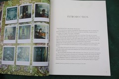 Interiors: Styled By Mieke by Ten Have – 2024 Hardcover from Vendome Press