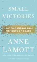 Small Victories: Spotting Improbable Moments of Grace – Hardcover – GOOD