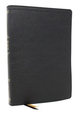 Peace of God Bible: Discover and Experience God’s Shalom Throughout the Leather