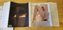 On Form by Andreas H. Bitesnich (2004, Hardcover)