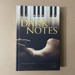 Mystic Box – Dark Notes By Pam Godwin Hardcover Signed Sprayed Stencil Edges