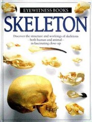 Skeleton (Eyewitness Books) – Hardcover By Parker, Steve – GOOD