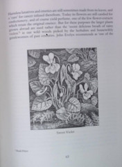 WOODLAND PLANTS