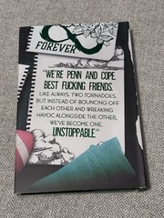 Wicked Lies Boys Tell by K Webster Baddies Book Box Special Edition New