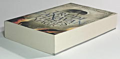 Thief’s Magic Trudi Canavan Trade Paperback Millennium’s Rule Book 1 Fantasy