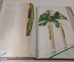 Jane Packer : Flowers, Design, Philosophy by Jane Packer Hardcover