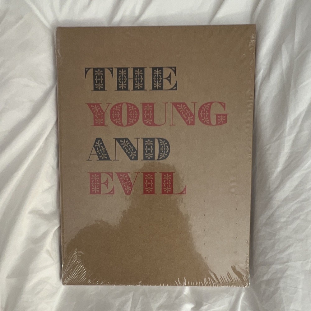 David Zwirner Books The Young and Evil Hardcover Illustrated 1st Ed 2020