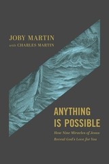 Anything Is Possible: How Nine Miracle…, Martin, Joby